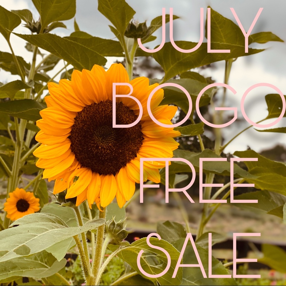 JULY BOGO FREE SALE!